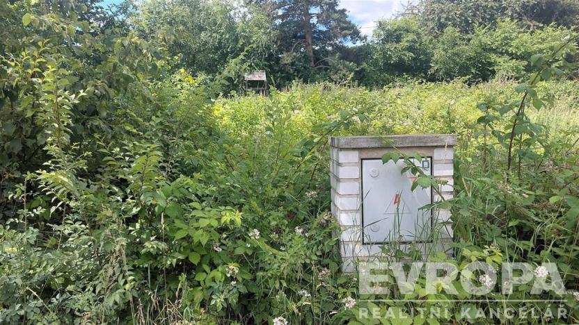 Prodej pozemku pro bydlení, Štěchovice - Třebenice, 629 m2