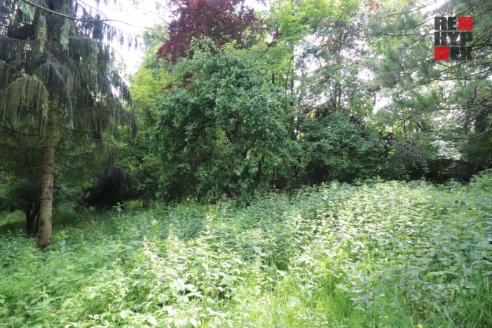 Prodej rodinného domu, Nový Bor - Arnultovice, Havlíčkova, 138 m2