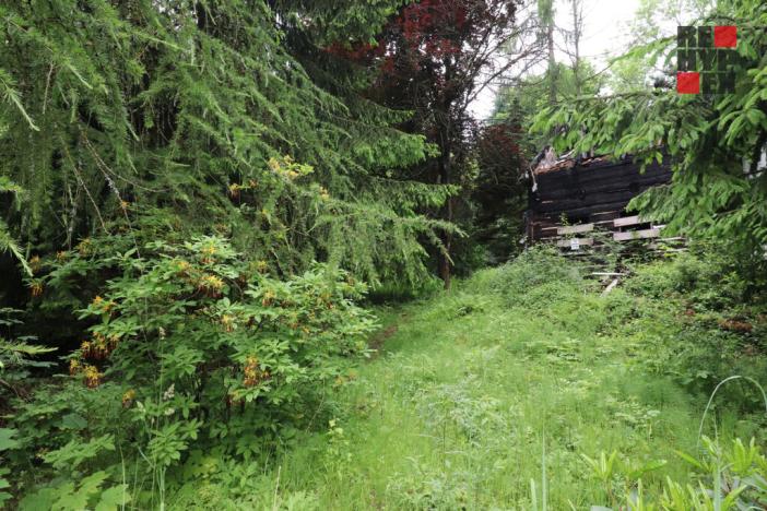 Prodej rodinného domu, Nový Bor - Arnultovice, Havlíčkova, 138 m2