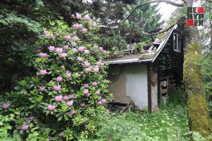 Prodej rodinného domu, Nový Bor - Arnultovice, Havlíčkova, 138 m2