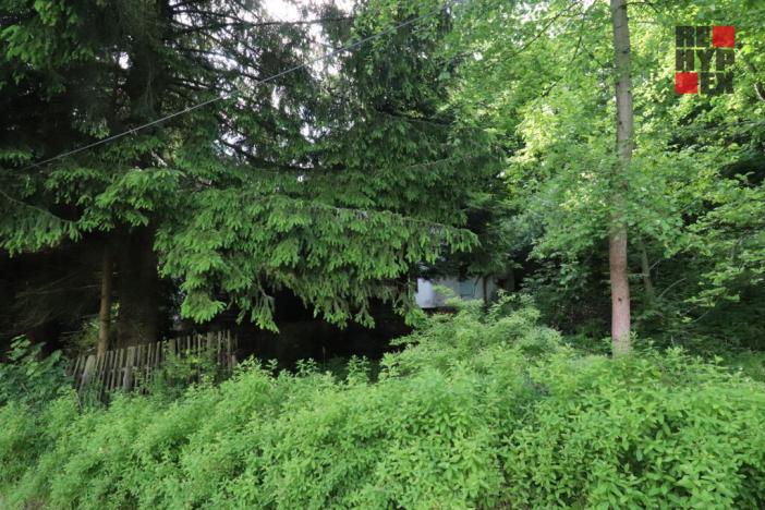 Prodej rodinného domu, Nový Bor - Arnultovice, Havlíčkova, 138 m2