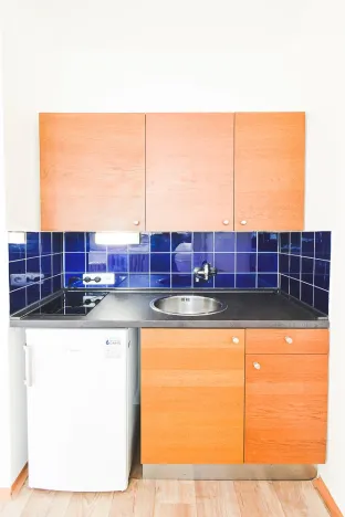 Pronájem bytu 1+kk, Brno - Lesná, Halasovo náměstí, 23 m2