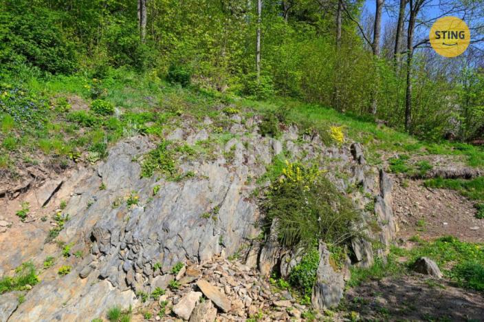 Prodej rodinného domu, Moravský Beroun, Horní, 173 m2