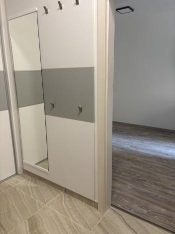 Pronájem bytu 1+kk, Praha - Nusle, Družstevní, 38 m2