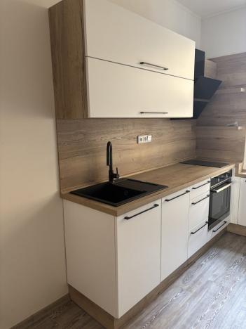 Pronájem bytu 1+kk, Praha - Nusle, Družstevní, 38 m2