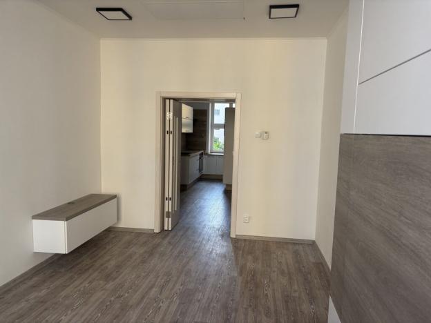 Pronájem bytu 1+kk, Praha - Nusle, Družstevní, 38 m2