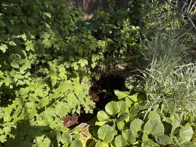 Prodej chaty, Tachov, 14 m2