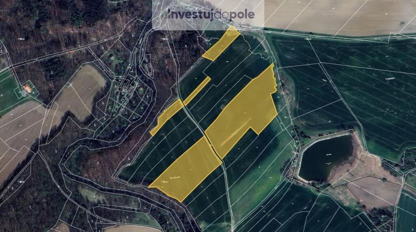 Prodej pole, Běstvina - Pařížov, 45541 m2