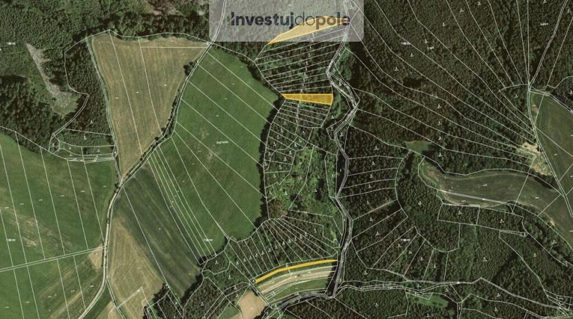 Prodej lesa, Letovice - Slatinka, 4290 m2