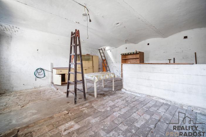 Prodej rodinného domu, Žiželice - Končice, 483 m2