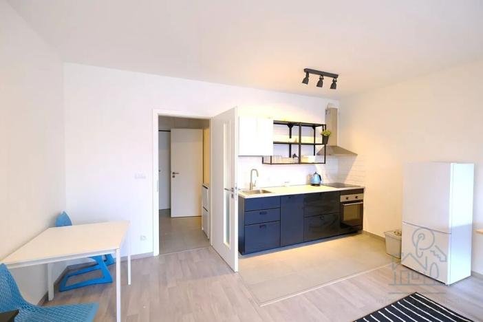 Pronájem bytu 1+kk, Praha - Žižkov, Olgy Havlové, 37 m2