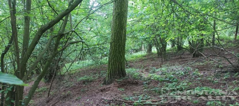 Prodej lesa, Městečko Trnávka - Lázy, 42338 m2