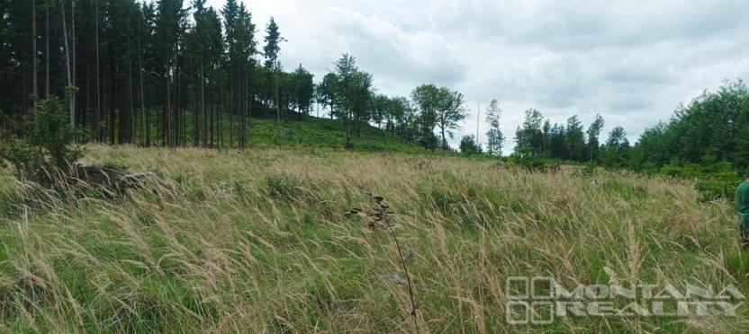 Prodej lesa, Městečko Trnávka - Lázy, 42338 m2