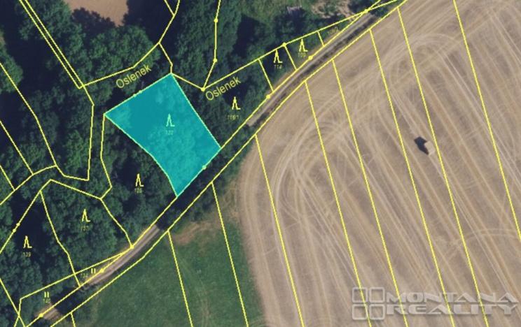 Prodej lesa, Městečko Trnávka - Lázy, 42338 m2