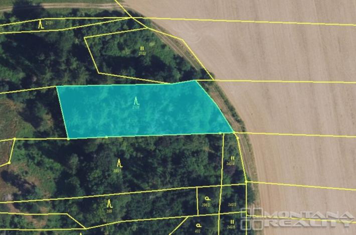 Prodej lesa, Městečko Trnávka - Lázy, 42338 m2