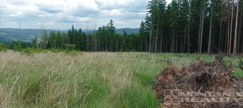 Prodej lesa, Městečko Trnávka - Lázy, 42338 m2