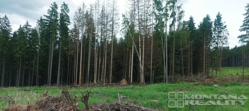 Prodej lesa, Městečko Trnávka - Lázy, 42338 m2