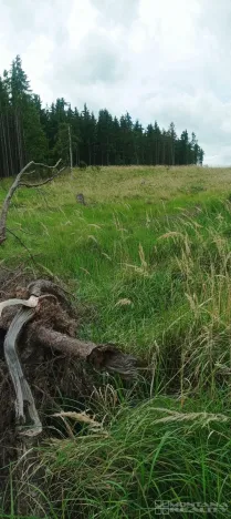 Prodej lesa, Městečko Trnávka - Lázy, 42338 m2