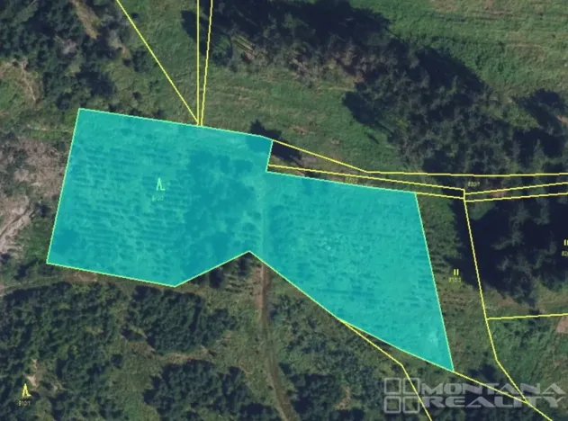 Prodej lesa, Městečko Trnávka - Lázy, 42338 m2