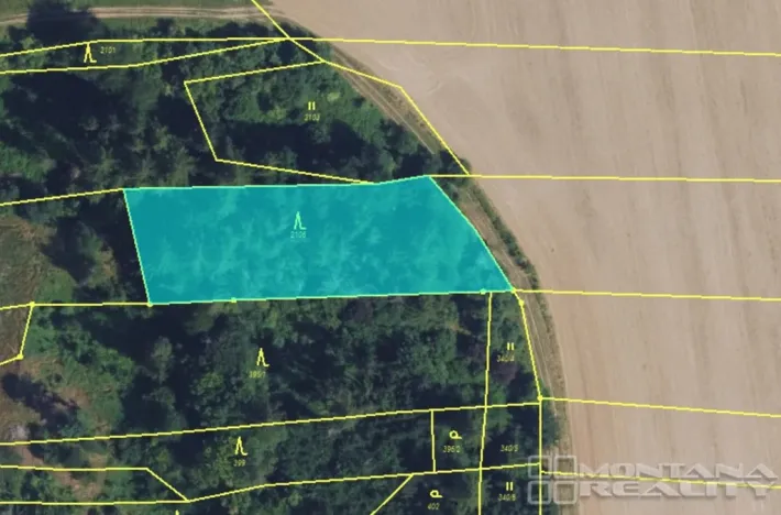 Prodej lesa, Městečko Trnávka - Lázy, 42338 m2