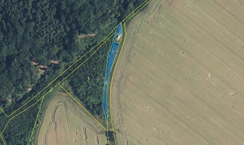 Prodej louky, Zdobín, 145881 m2