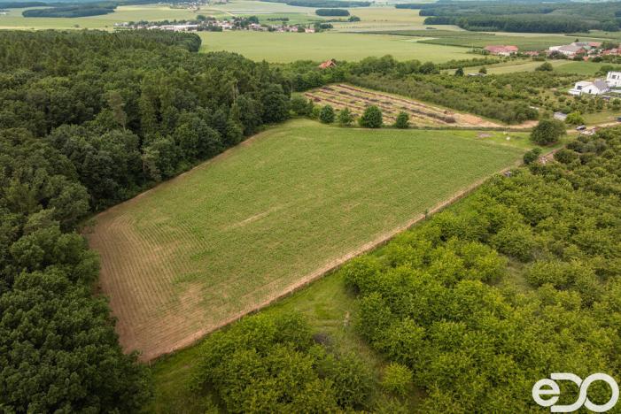 Prodej pozemku pro bydlení, Těchlovice, 11163 m2