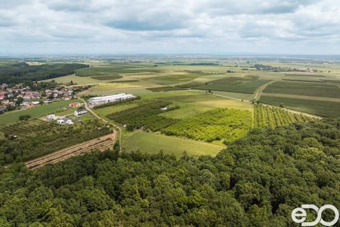 Prodej pozemku pro bydlení, Těchlovice, 11163 m2