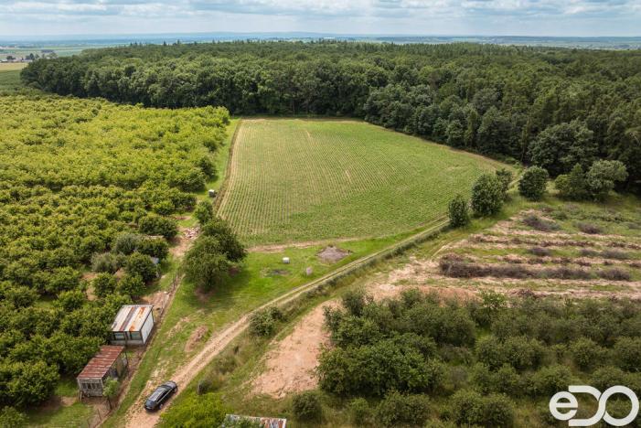 Prodej pozemku pro bydlení, Těchlovice, 11163 m2