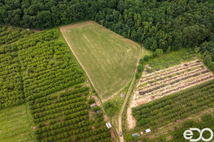 Prodej pozemku pro bydlení, Těchlovice, 11163 m2