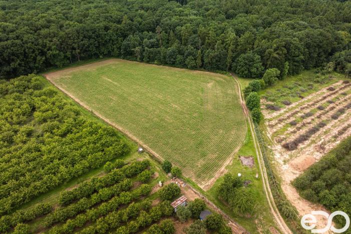 Prodej pozemku pro bydlení, Těchlovice, 11163 m2