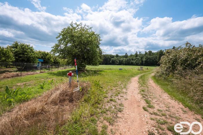 Prodej pozemku pro bydlení, Těchlovice, 11163 m2