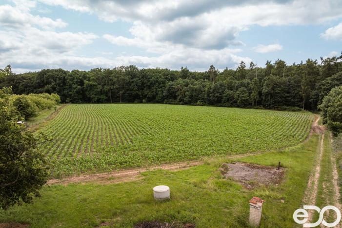 Prodej pozemku pro bydlení, Těchlovice, 11163 m2