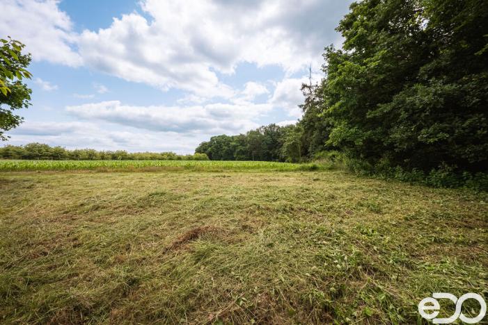 Prodej pozemku pro bydlení, Těchlovice, 11163 m2