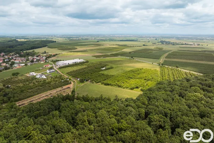 Prodej pozemku pro bydlení, Těchlovice, 11163 m2