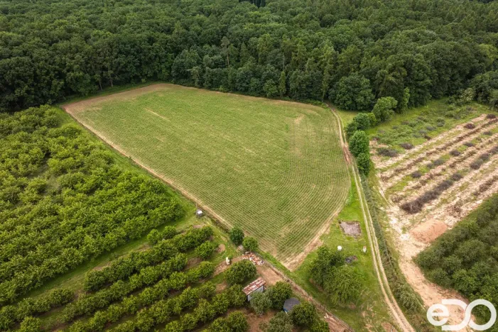 Prodej pozemku pro bydlení, Těchlovice, 11163 m2