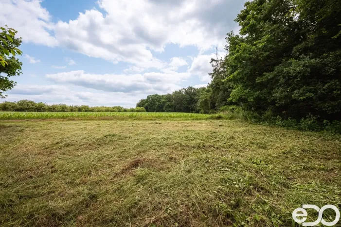 Prodej pozemku pro bydlení, Těchlovice, 11163 m2