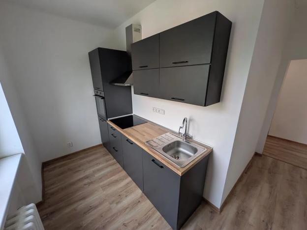 Pronájem bytu 2+1, Most, Maxe Švabinského, 55 m2