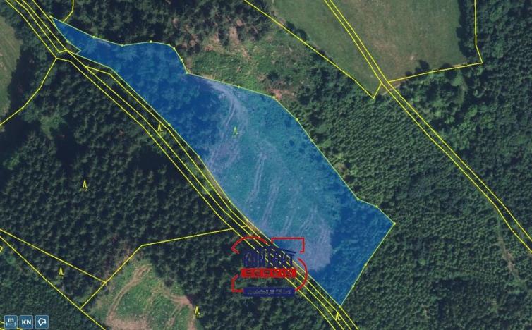 Prodej lesa, Svojek - Tample, 10149 m2