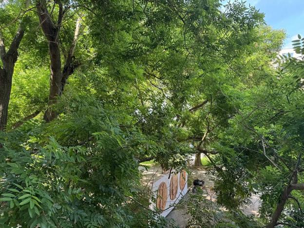 Prodej bytu 4+1, Brno, Strnadova, 80 m2