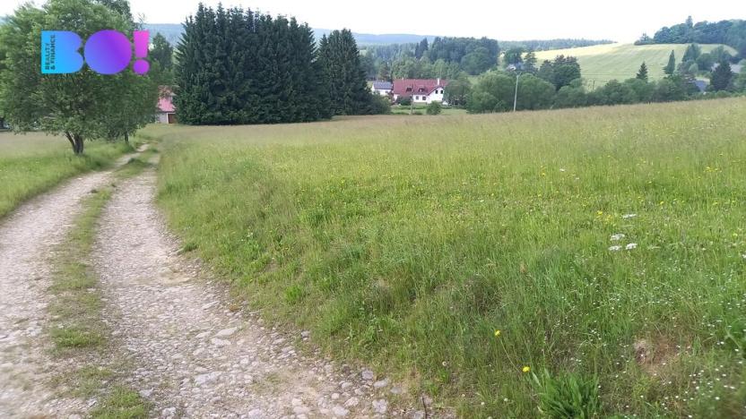 Prodej pole, Křižánky - České Křižánky, 5336 m2