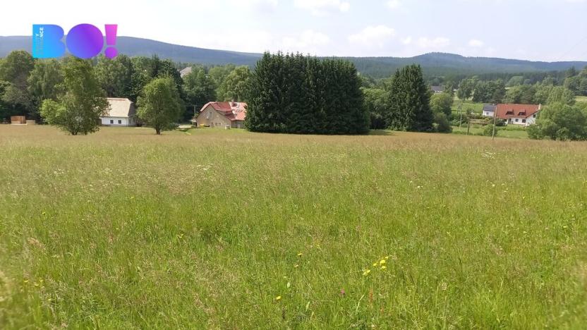 Prodej pole, Křižánky - České Křižánky, 5336 m2