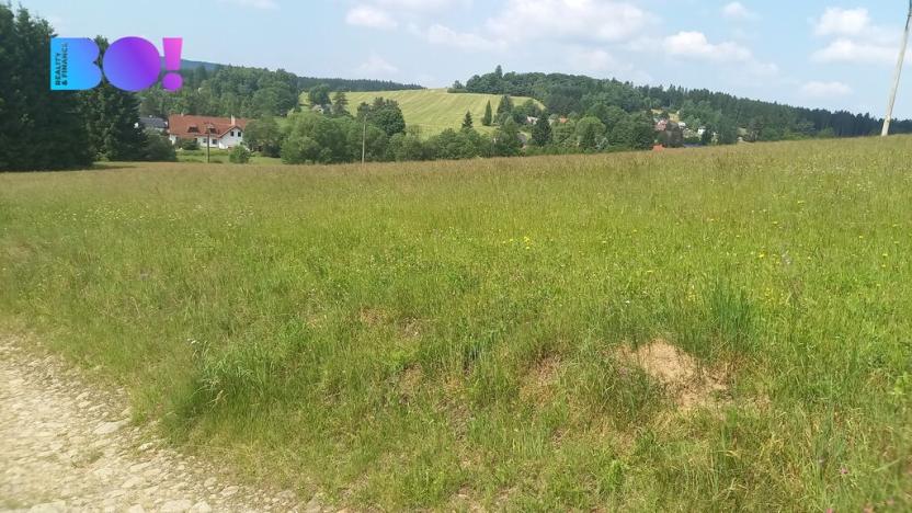 Prodej pole, Křižánky - České Křižánky, 5336 m2