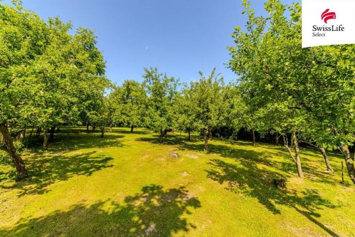 Prodej zemědělské usedlosti, Zádolí, 1100 m2