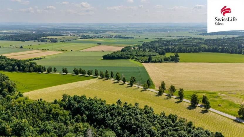 Prodej zemědělské usedlosti, Zádolí, 1100 m2