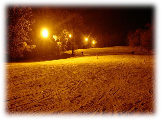 Prodej komerční nemovitosti, Lipová-lázně, 215391 m2