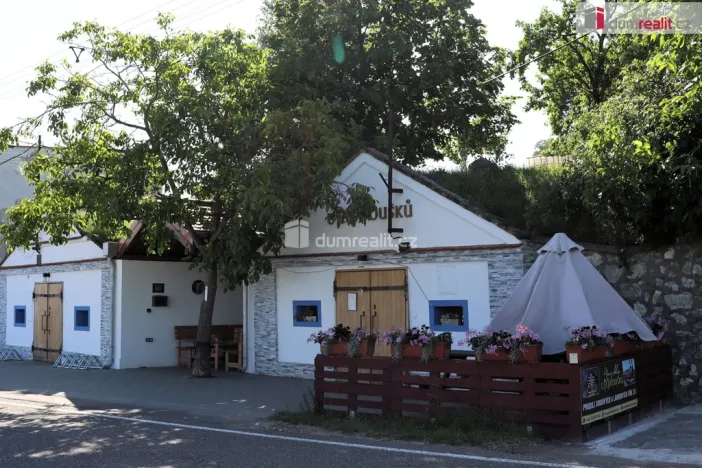 Prodej garáže, Horní Věstonice, U Venuše, 165 m2