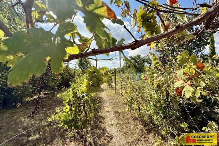 Prodej chaty, Suchohrdly, 30 m2