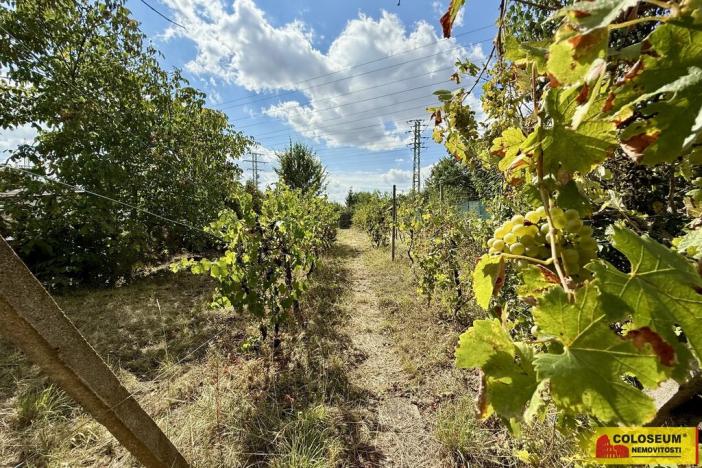 Prodej chaty, Suchohrdly, 30 m2