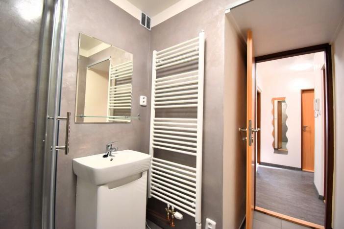 Pronájem bytu 2+1, Plzeň, Zábělská, 56 m2