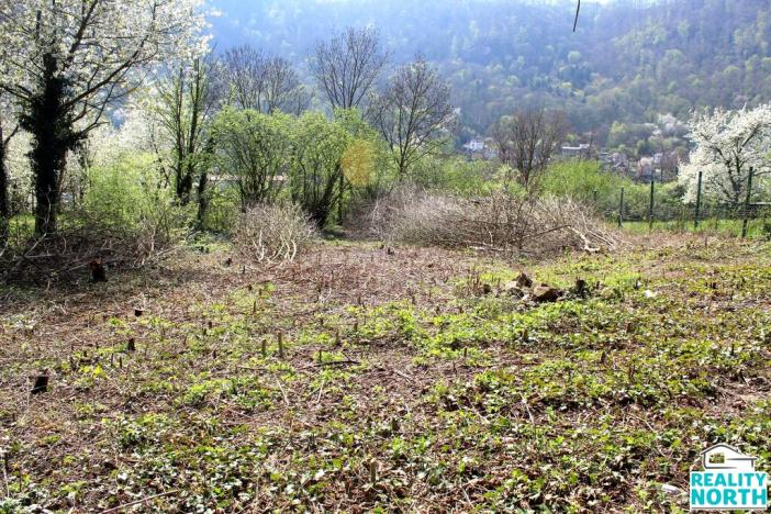 Prodej pozemku pro bydlení, Ústí nad Labem, Litoměřická, 1219 m2